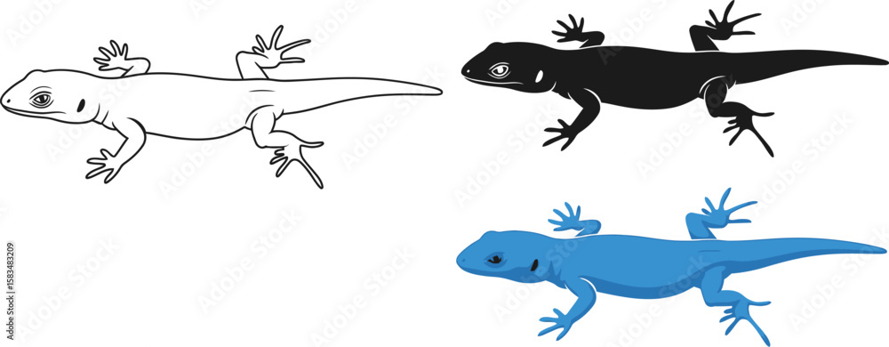 Fototapeta premium Collection of gecko drawings features black, outline, and blue depictions.