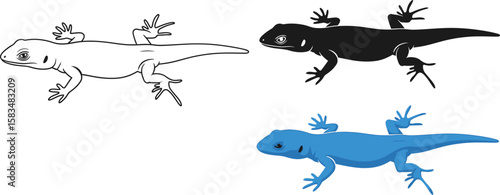 Collection of gecko drawings features black, outline, and blue depictions.