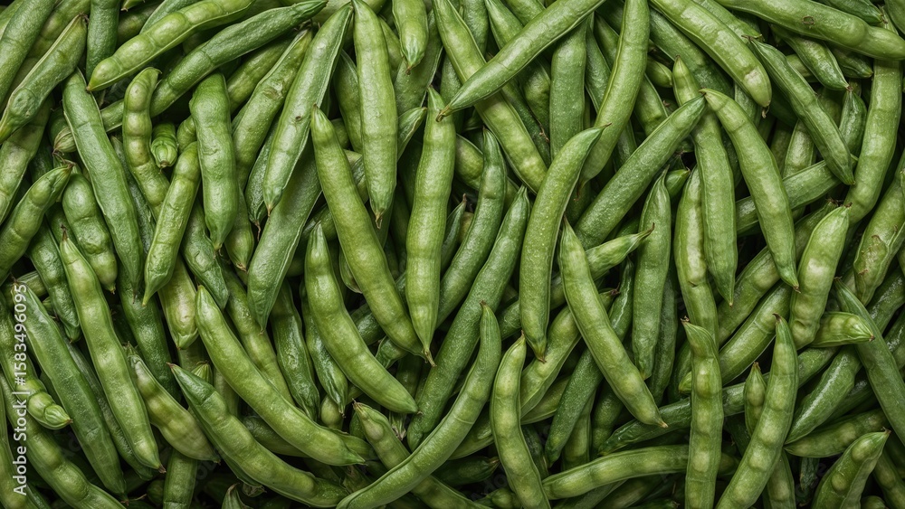 Freshly collected black soybean pods Freshly collected black soybean pods