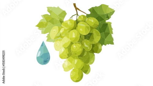 Green grapes with a water drop