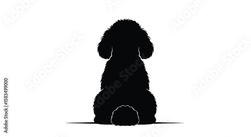 Adorable fluffy poodle from behind showcasing its elegant silhouette and groomed coat