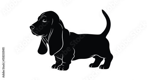 Adorable black basset hound puppy silhouette standing proudly with droopy ears and curled tail