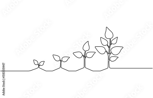 Continuous one line drawing of step of grow plant. Vector illustration,  Sprout with leaves in simple linear style isolated one line vector illustration.