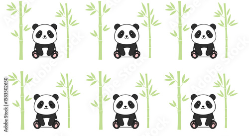Cute pandas sitting among lush green bamboo forest wildlife creatures