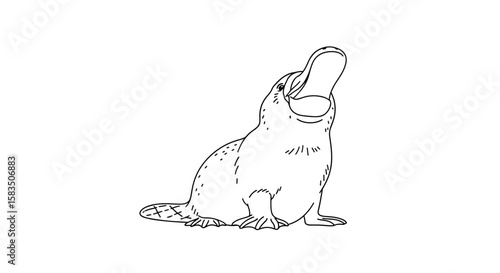 Unique australian mammal with duck bill and beaver tail sitting open mouthed