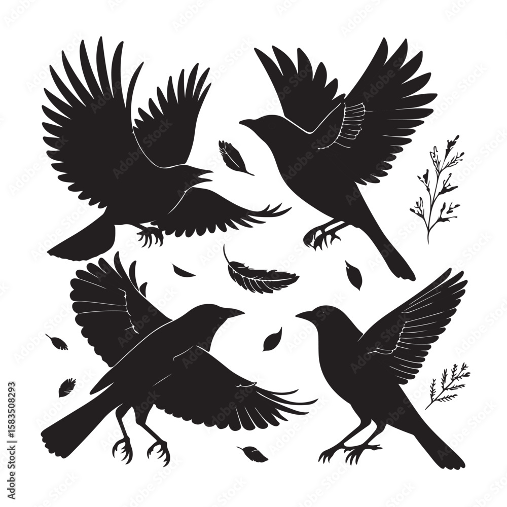 Obraz premium Set of black bird silhouettes. Vector elements for design.