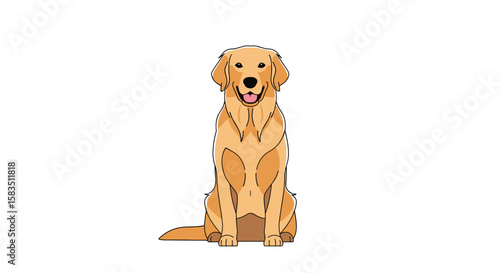 A happy golden retriever dog sitting proudly waiting for its owner to return home