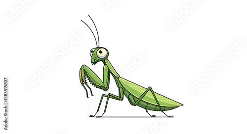 Green praying mantis insect animal creature nature wildlife predator hunting