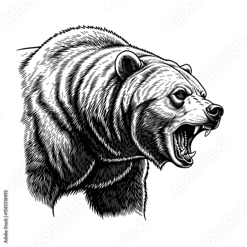 A fierce roaring grizzly bear head depicted in a detailed black and white vintage engraving style, showcasing raw power and aggression