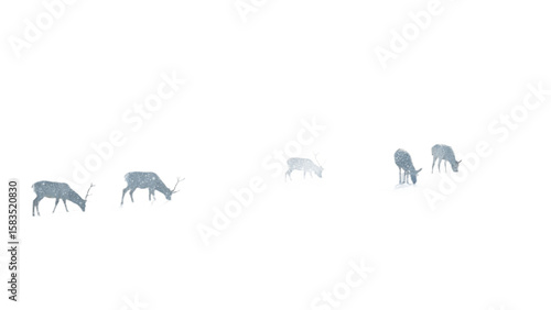 Snowy hill , isolated transparent background