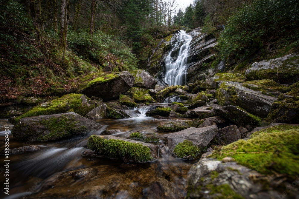 Obraz premium Cascading waterfall over mossy rocks in a forest, creating a peaceful and lush scene