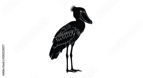 Distinctive silhouette of a shoebill bird standing tall in its natural habitat