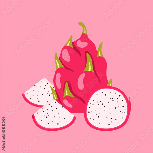 fresh dragonfruit illustration vector stock
