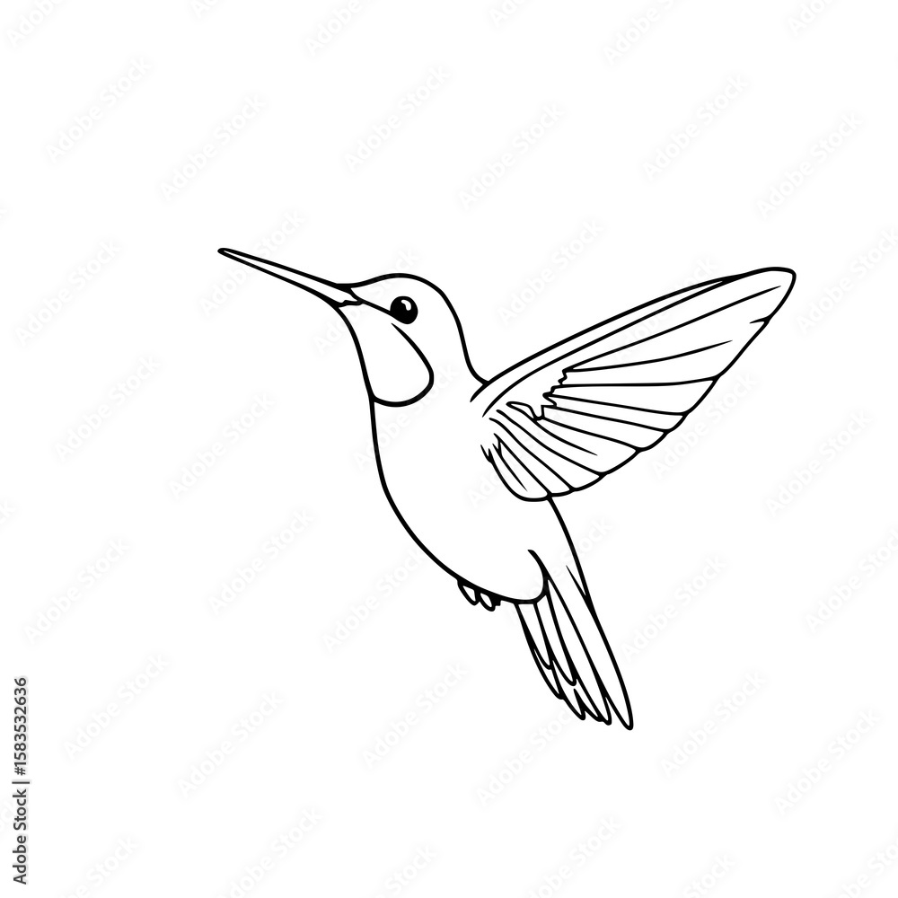 Obraz premium Hummingbird in Flight: A graceful line art illustration depicts a hummingbird in mid-flight, its wings outstretched and body elegantly curved.