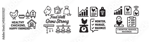 set of Feeding System poultry– Feed Well, Grow Strong