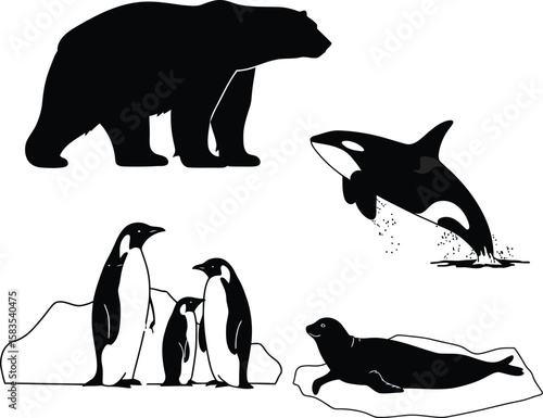 Collection of arctic and antarctic animal silhouettes isolated on white background silhouette