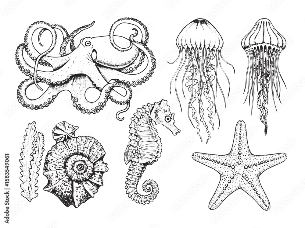 Fototapeta premium Hand-drawn engraved sea creatures including octopus jellyfish seahorse and starfish in vintage line style