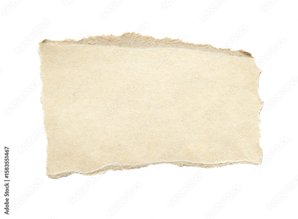 Fototapeta premium Ripped paper png transparent background