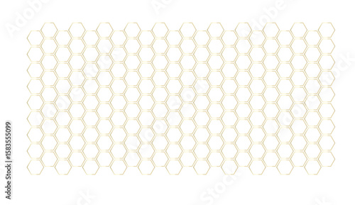 Honeycomb structure. Honey comb. Bee products in sketch style. Vector
