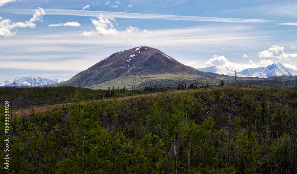 Naklejka premium Donnelly Dome in Alaska