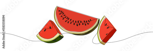 Watermelon slices with seeds. Colorful hand-drawn continuous line fruit illustration. Summer freshness concept for design and print