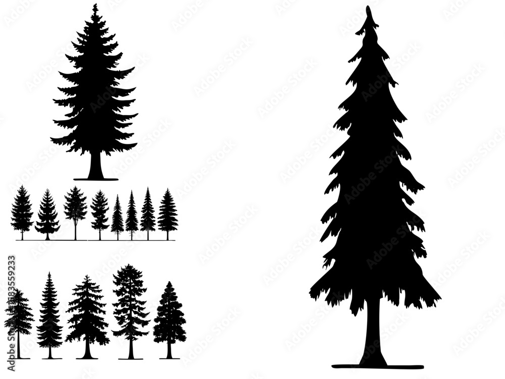 Obraz premium Silhouette evergreen trees vector illustration forest pine fir design art