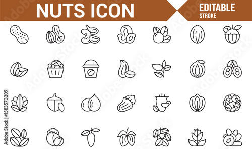 Nut and Snack Icons Set Including Peanuts, Cashews, Walnuts, and Hazelnuts