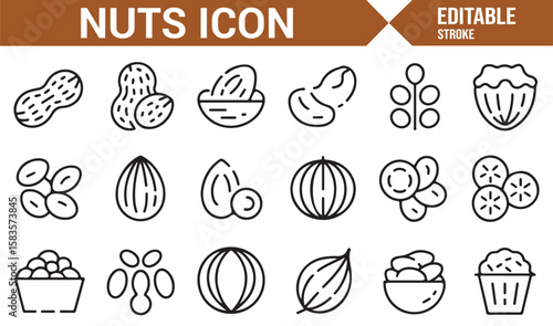 Nut and Seed Icon Collection Featuring Peanuts, Almonds, Cashews, and More