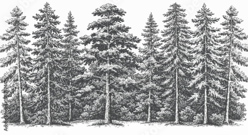 Pinusi forest porcelain decoration design (dark blue)