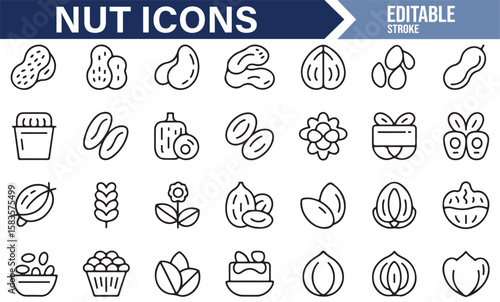 Variety of Nut and Seed Icons Including Almonds, Peanuts, Cashews, and More