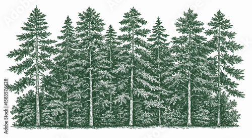 Pinusi forest porcelain decoration design (dark green)
