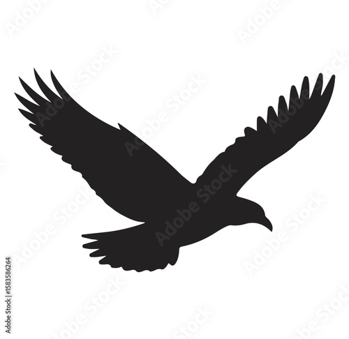 Silhouette of a bird