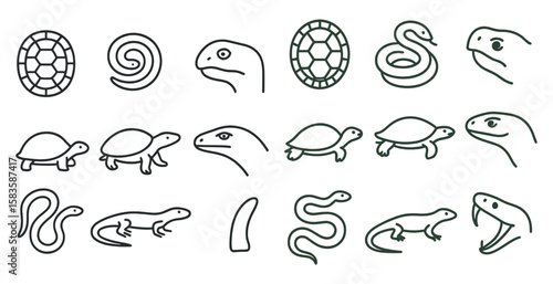 Series of different animals drawn in black and white. The animals include a turtle, a snake, a lizard, and a gecko