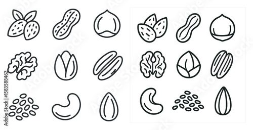 Set of images of nuts and seeds. The nuts and seeds are shown in various sizes and shapes