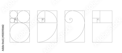 Vertical Fibonacci numbers array set. Vertical template of golden ratio harmony proportions. 