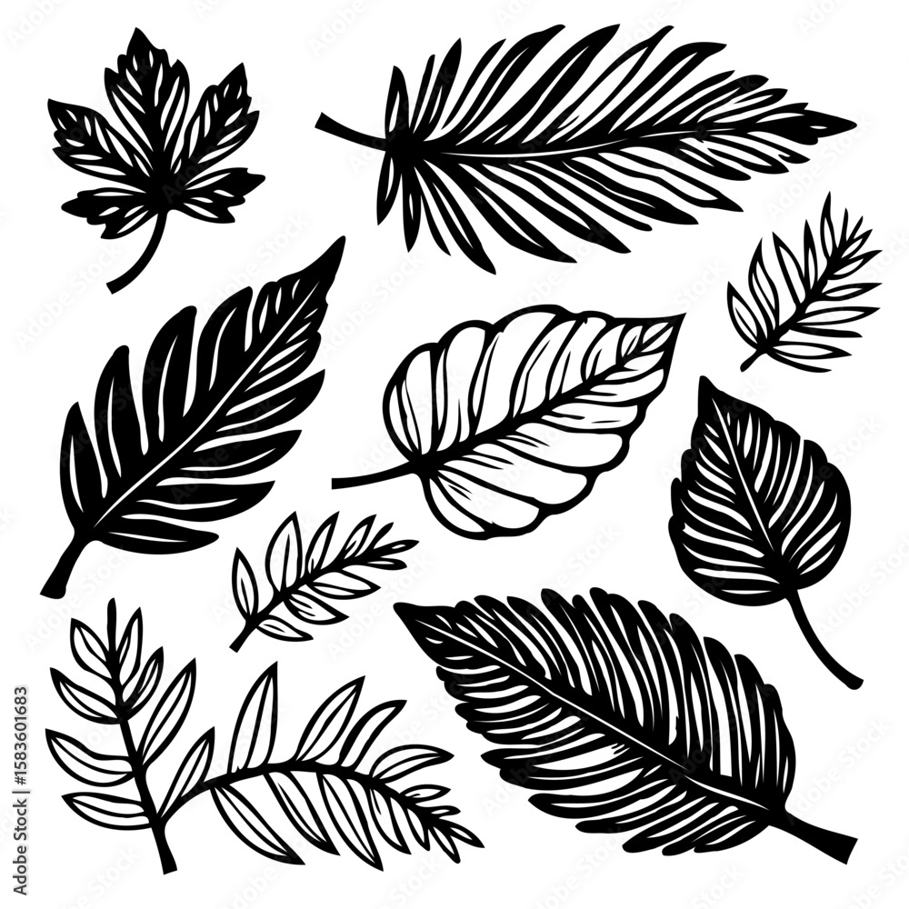 Fototapeta premium Black and White Botanical Illustration of Various Leaf Shapes and Patterns
