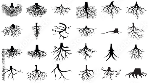 Tree and Plant Root Black Silhouette Vector Bundle