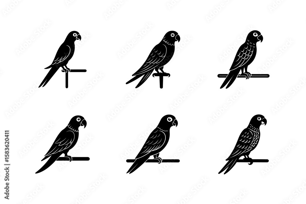 Fototapeta premium parrot on a perch vector art silhouette