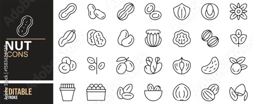 Simple Nut Icons Set for Plant-Based Diet, Organic Snacks, and Protein-rich Foods