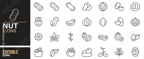 Icon Set Featuring Various Nuts, Seeds, and Healthy Snack Foods in Minimal Design