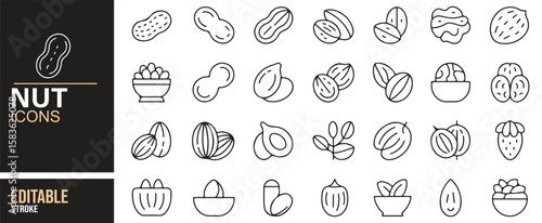 Icon Set Featuring Various Nuts, Seeds, and Healthy Snack Foods in Minimal Design