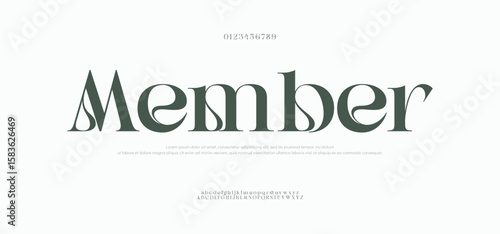 Member elegant font alphabet uppercase lowercase and number. Classic lettering minimal fashion designs. Typography modern serif fonts regular decorative vintage concept. Vector illustration
