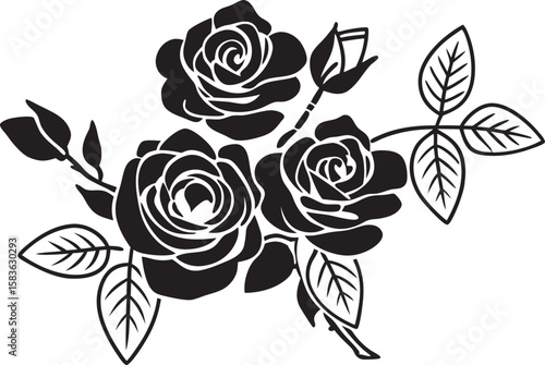 set of roses vector