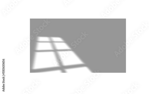 Leaves and window pane shadow