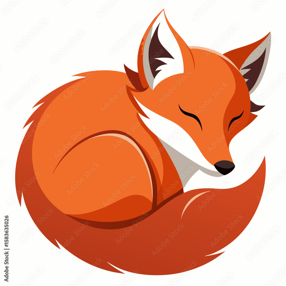 Obraz premium Cute sleeping fox curled up in a ball isolated on white background