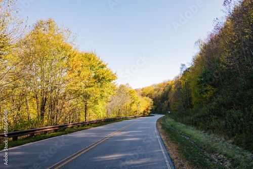 Scenic Autumn Road with Vibrant Foliage