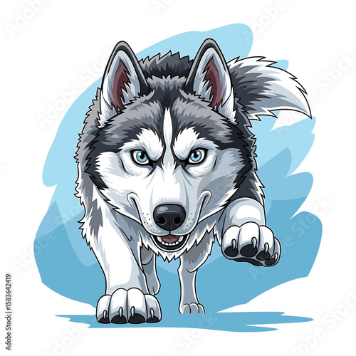 A fierce Siberian Husky dog, charging forward with determined expression.