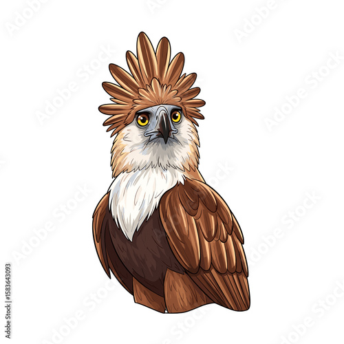 A detailed illustration of a majestic Philippine eagle, facing forward, with sharp eyes.