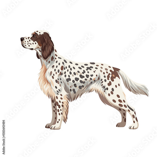 A graceful English Setter dog stands proudly, showcasing its spotted coat.