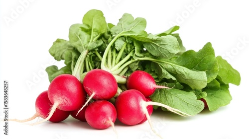 Harvesting fresh radishes isolated on white background food photography natural environment close-up view organic produce for seo impact